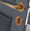 Khoá cửa gỗ một đầu khóa tay gạt hợp kim Taura DFL-1001 9