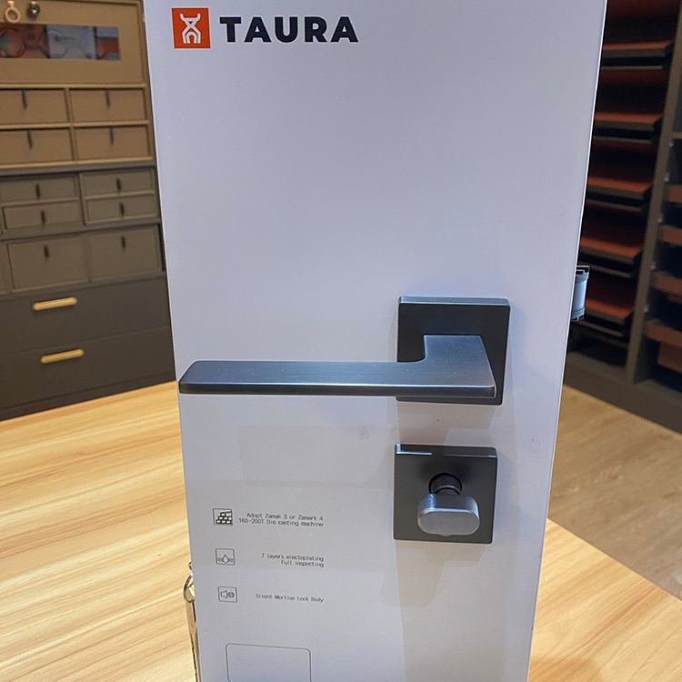 Ảnh Khoá Cửa Phân Thể Hợp Kim Tay Gạt Tối Giản Taura D71Z177 - 15