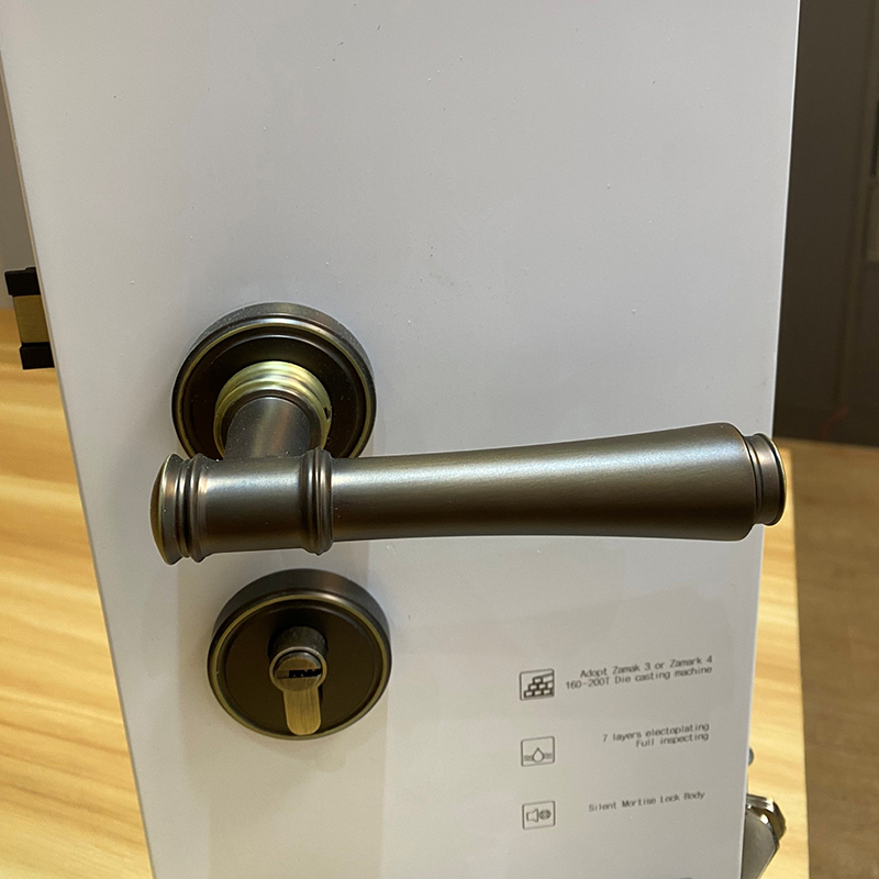 Ảnh Khoá cửa phòng tay gạt hợp kim kiểu Âu Taura C82Z50 - 10 Ảnh Khoá Cửa Phòng Tay Gạt Hợp Kim Kiểu Âu Taura C82Z50 - 9