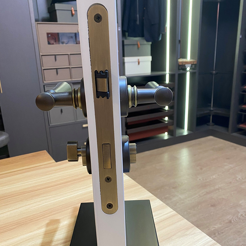 Ảnh Khoá Cửa Phòng Tay Gạt Hợp Kim Kiểu Âu Taura C82Z50 - 17