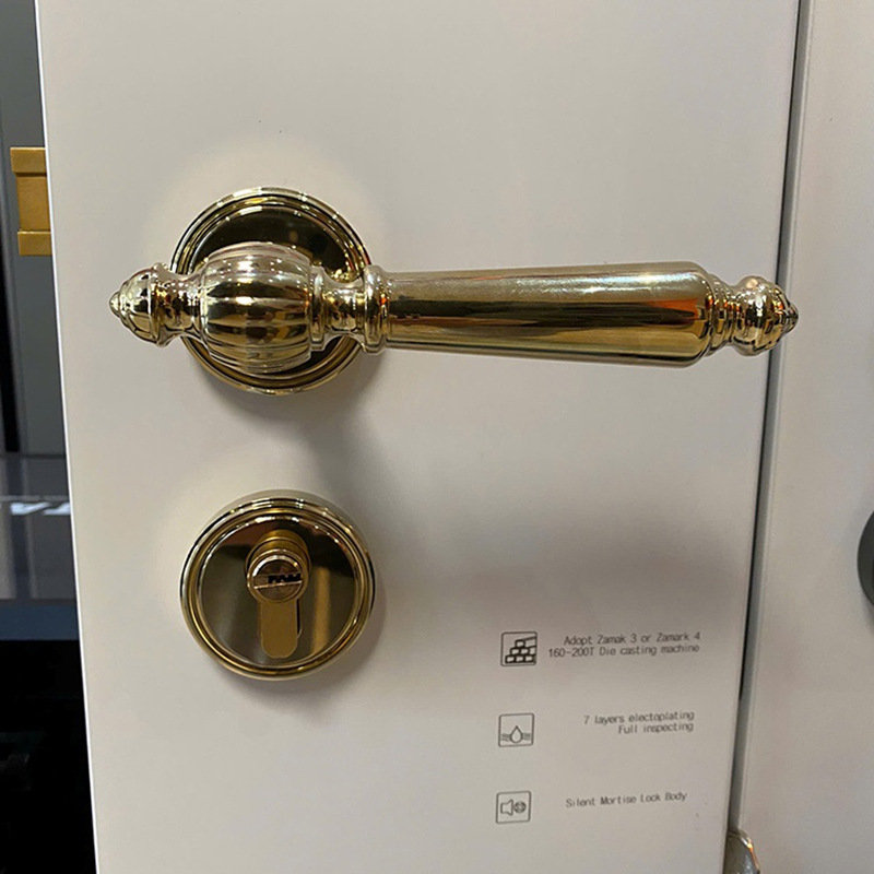 Ảnh Khoá Cửa Phòng Tay Gạt Hợp Kim Kiểu Pháp Taura C82Z322 - 19