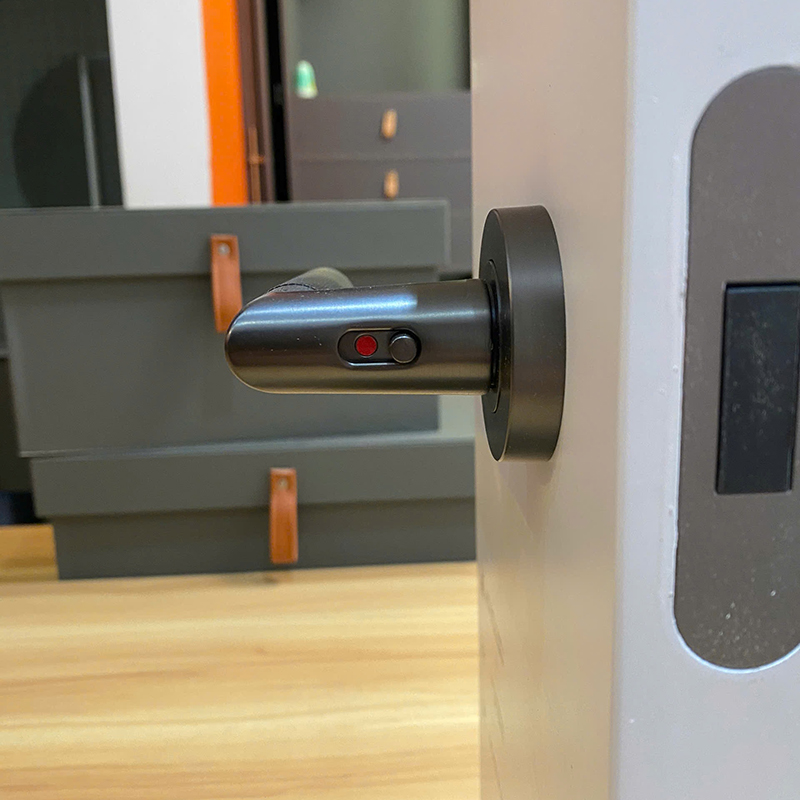 Ảnh Khoá Cửa Phòng Tay Gạt Khóa Ẩn Taura Z8-272X - 23